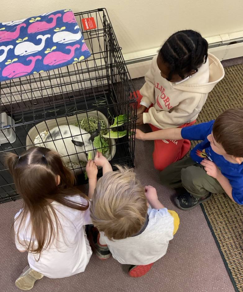 Class Pet
